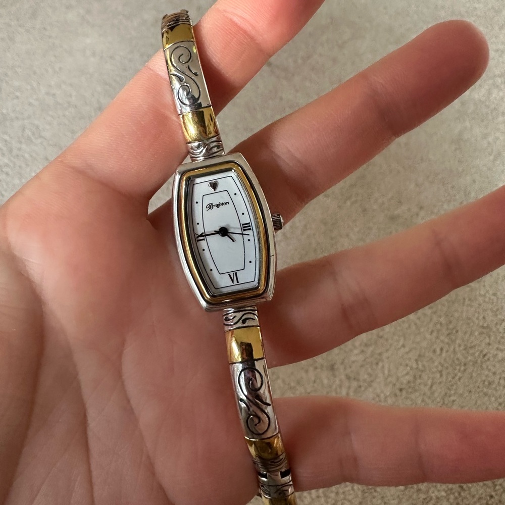 Brighton Watch